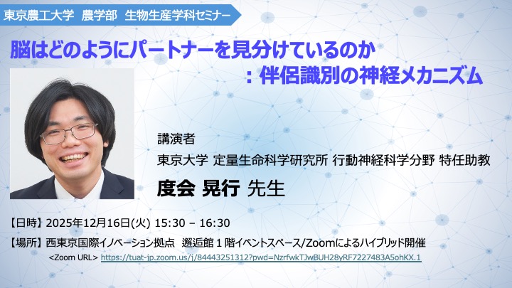 脳はどのようにパートナーを見分けているのか：伴侶識別の神経メカニズム